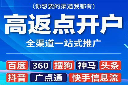 谷歌竞价广告与SEO结合的营销案例解析